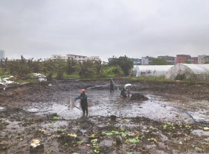 茂名河道鱼塘清淤
